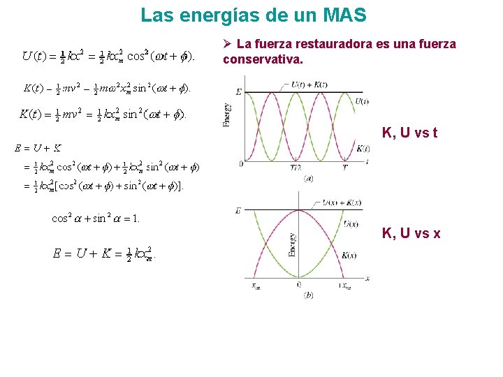 Las energías de un MAS Ø La fuerza restauradora es una fuerza conservativa. K, Las energías de un MAS Ø La fuerza restauradora es una fuerza conservativa. K,