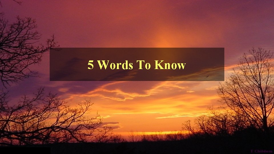 5 Words To Know 