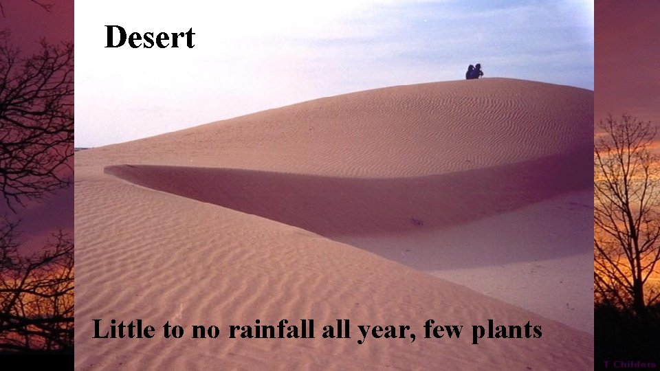 Desert Little to no rainfall year, few plants 