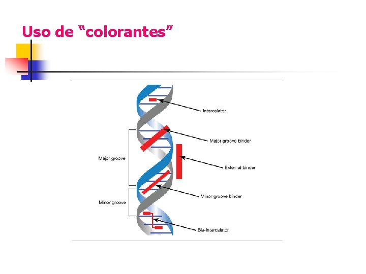 Uso de “colorantes” 