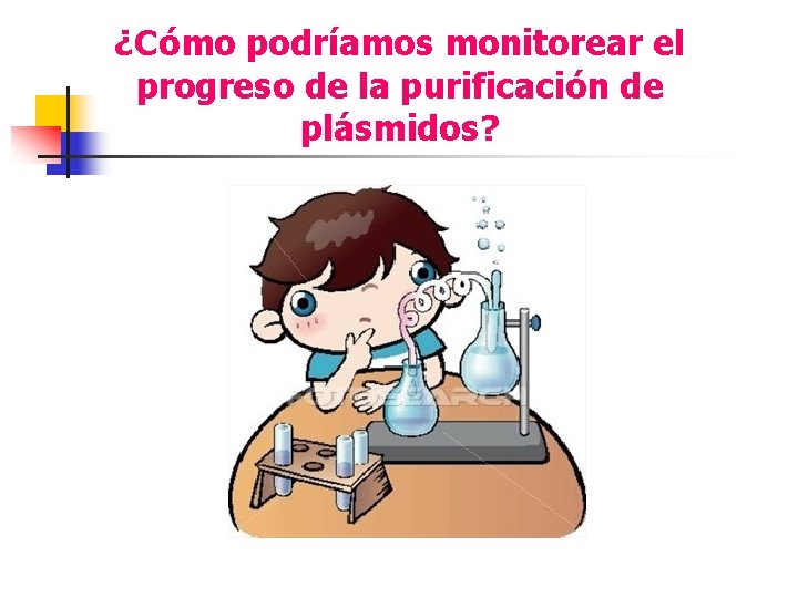 ¿Cómo podríamos monitorear el progreso de la purificación de plásmidos? 