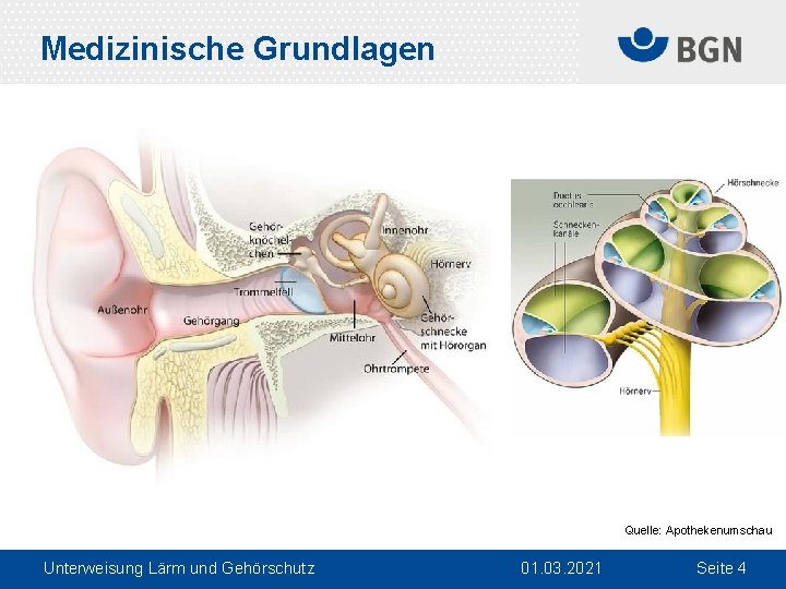 Medizinische Grundlagen Quelle: Apothekenumschau Unterweisung Lärm und Gehörschutz 01. 03. 2021 Seite 4 