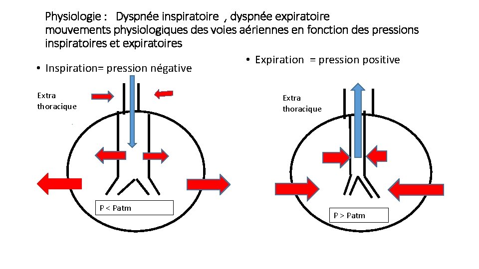 Physiologie : Dyspnée inspiratoire , dyspnée expiratoire mouvements physiologiques des voies aériennes en fonction