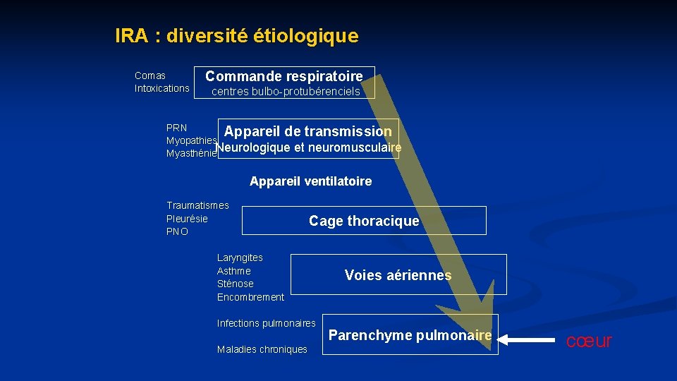 IRA : diversité étiologique Comas Intoxications Commande respiratoire centres bulbo-protubérenciels PRN Appareil de transmission