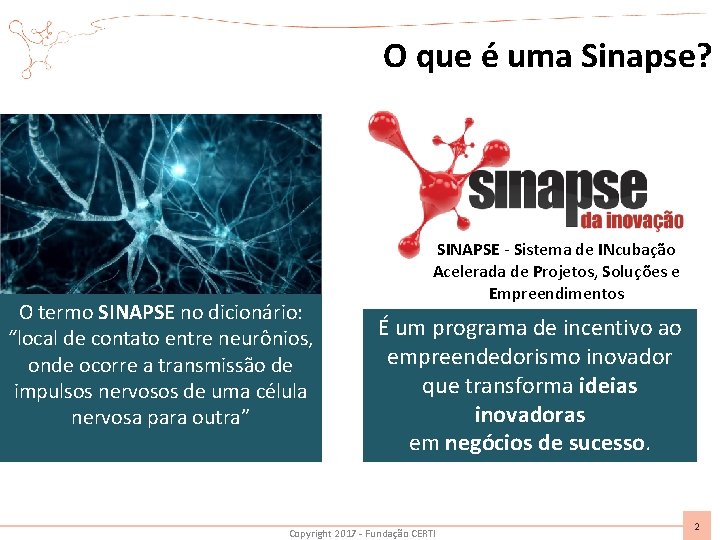 O que é uma Sinapse? O termo SINAPSE no dicionário: “local de contato entre