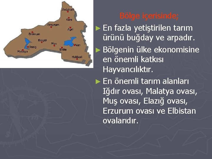 Bölge içerisinde; ► En fazla yetiştirilen tarım ürünü buğday ve arpadır. ► Bölgenin ülke