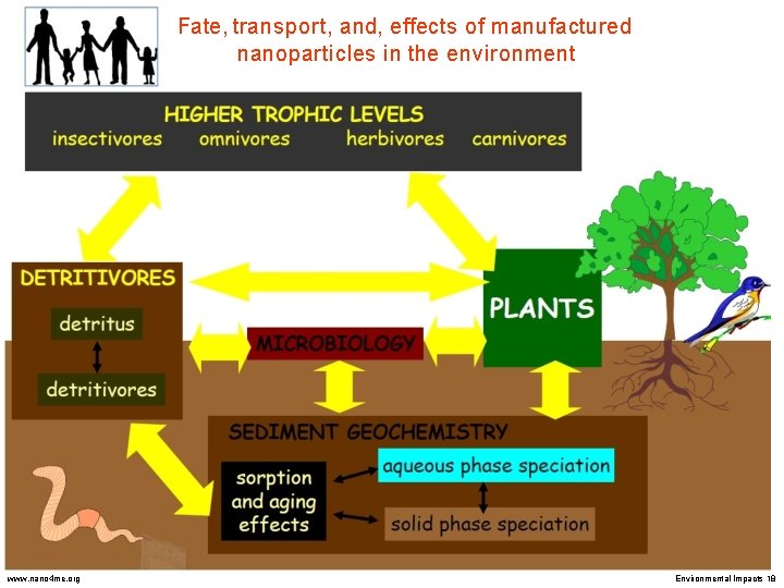 Fate, transport, and, effects of manufactured nanoparticles in the environment www. nano 4 me.