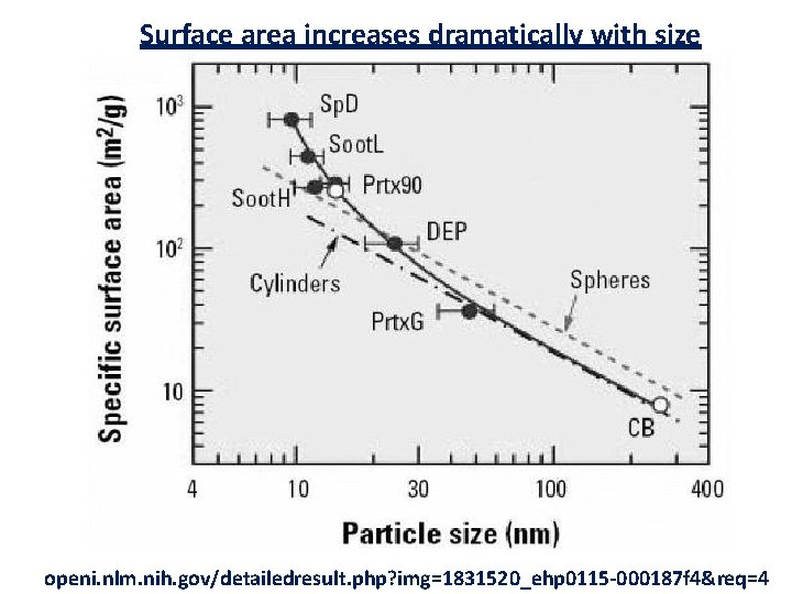 Surface area increases dramatically with size openi. nlm. nih. gov/detailedresult. php? img=1831520_ehp 0115 -000187