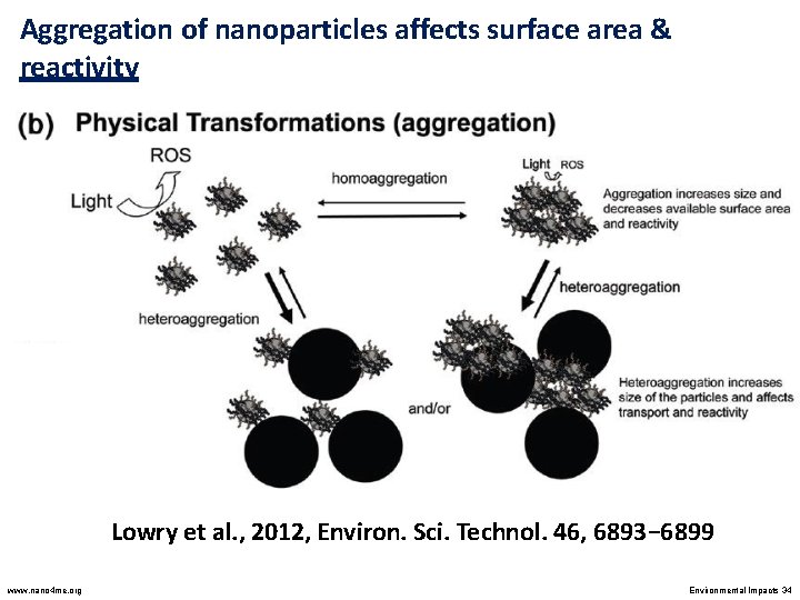 Aggregation of nanoparticles affects surface area & reactivity Lowry et al. , 2012, Environ.