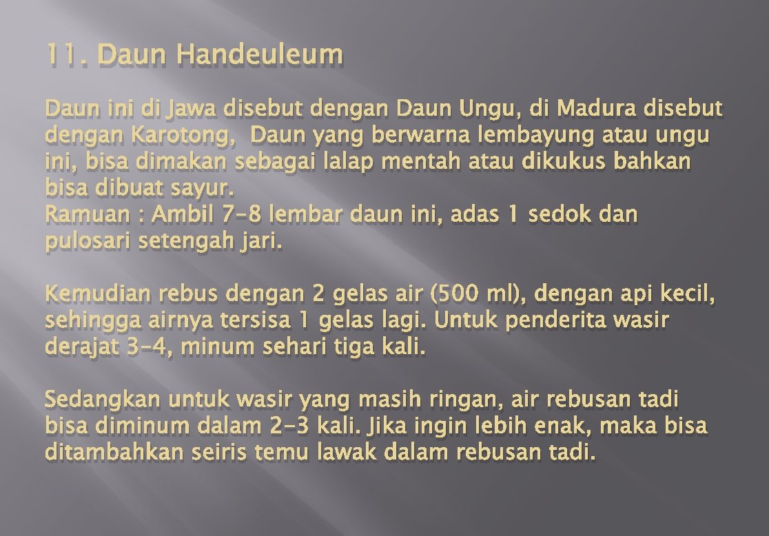 11. Daun Handeuleum Daun ini di Jawa disebut dengan Daun Ungu, di Madura disebut