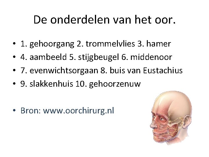 De onderdelen van het oor. • • 1. gehoorgang 2. trommelvlies 3. hamer 4.