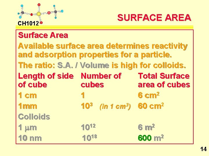 CH 1012 SURFACE AREA Surface Area Available surface area determines reactivity and adsorption properties