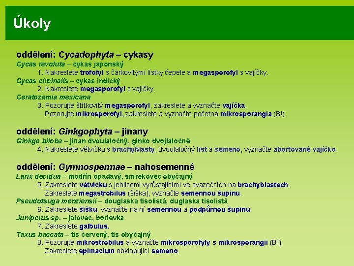 Úkoly oddělení: Cycadophyta – cykasy Cycas revoluta – cykas japonský 1. Nakreslete trofofyl s
