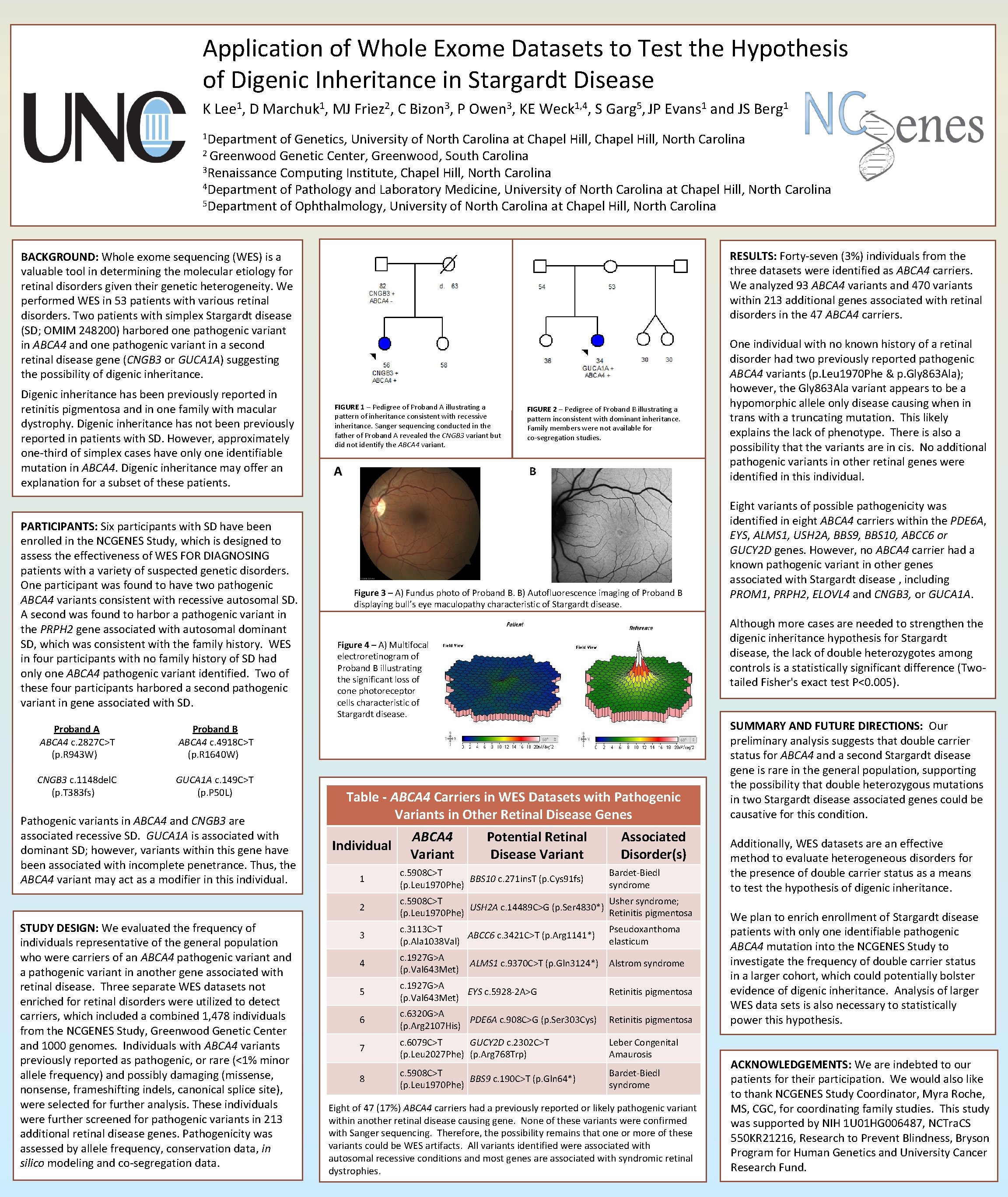 Application of Whole Exome Datasets to Test the Hypothesis of Digenic Inheritance in Stargardt