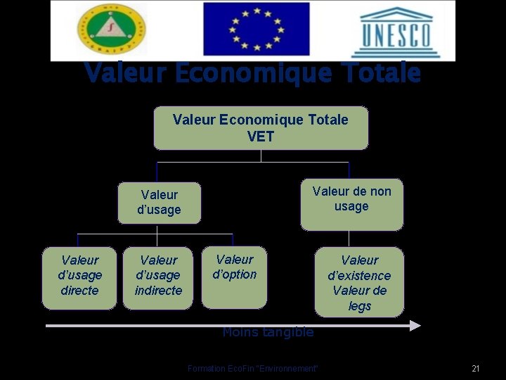 Valeur Economique Totale VET Valeur de non usage Valeur d’usage directe Valeur d’usage indirecte