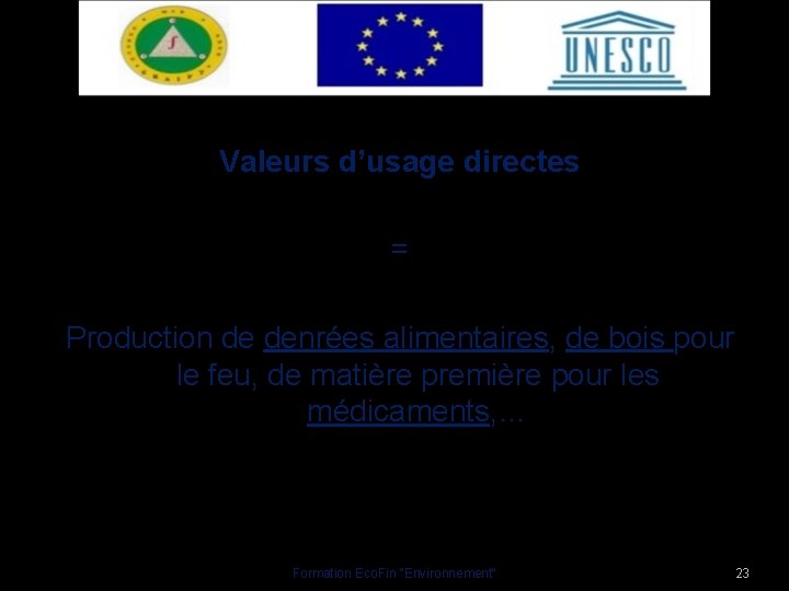 Valeurs d’usage directes = Production de denrées alimentaires, de bois pour le feu, de