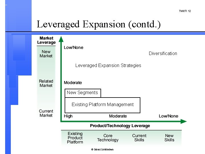 TMit. TI 12 Leveraged Expansion (contd. ) Diversification Leveraged Expansion Strategies New Segments Existing