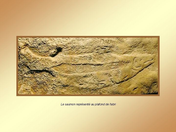 Le saumon représenté au plafond de l'abri 