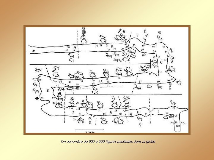 On dénombre de 600 à 800 figures pariétales dans la grotte 