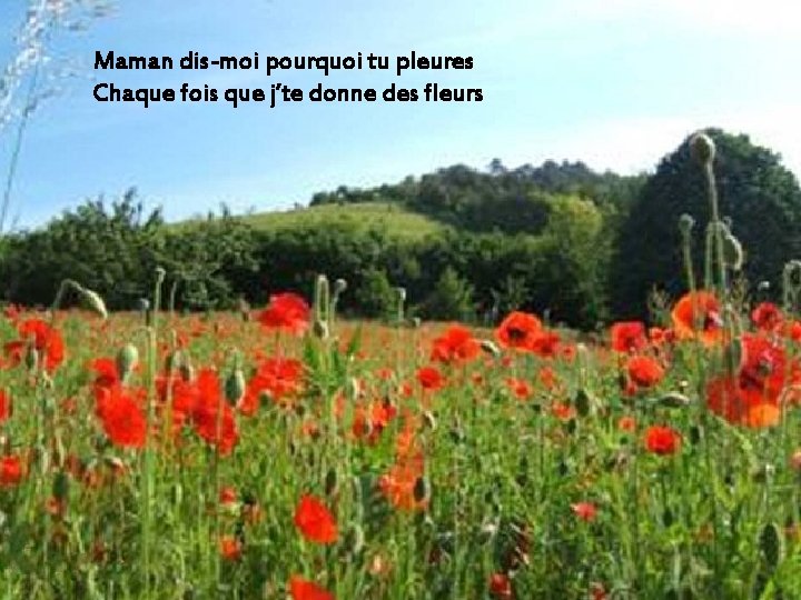 Maman dis-moi pourquoi tu pleures Chaque fois que j’te donne des fleurs 
