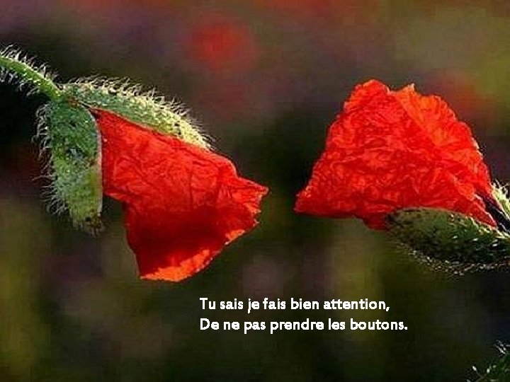 Tu sais je fais bien attention, De ne pas prendre les boutons. 