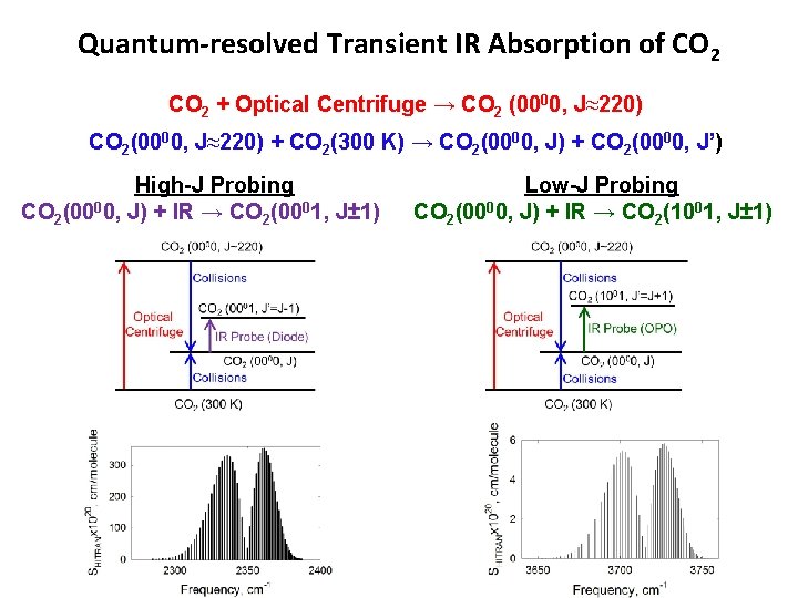 Quantum-resolved Transient IR Absorption of CO 2 + Optical Centrifuge → CO 2 (0000,