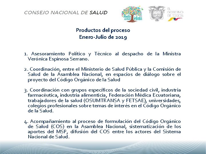 Productos del proceso Enero-Julio de 2019 1. Asesoramiento Político y Técnico al despacho de