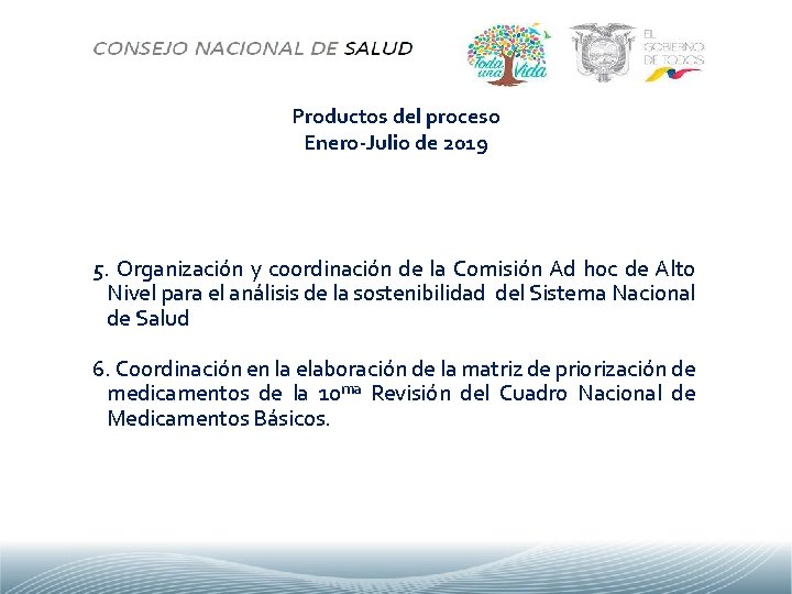 Productos del proceso Enero-Julio de 2019 5. Organización y coordinación de la Comisión Ad