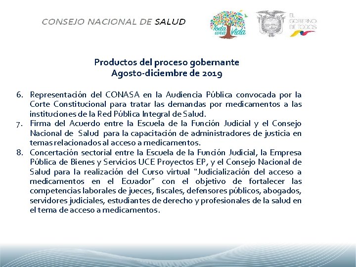 Productos del proceso gobernante Agosto-diciembre de 2019 6. Representación del CONASA en la Audiencia