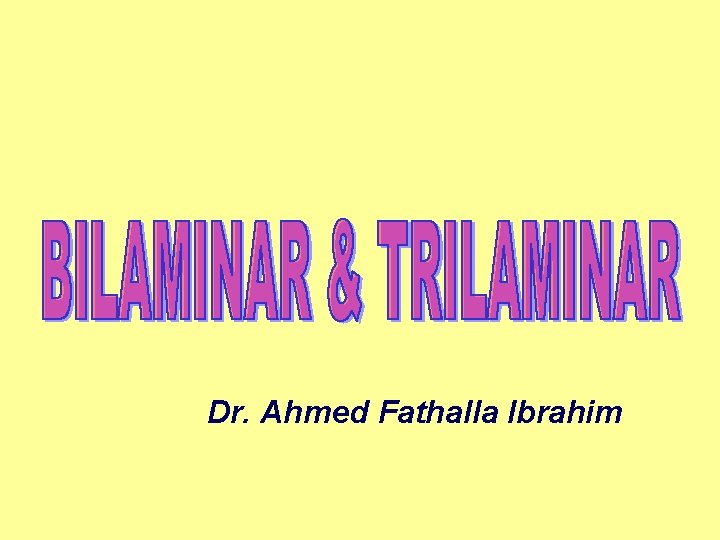 Dr. Ahmed Fathalla Ibrahim 