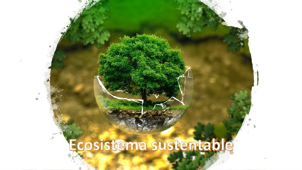 Ecosistema sustentable 