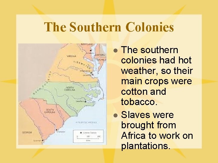 The Southern Colonies l l The southern colonies had hot weather, so their main The Southern Colonies l l The southern colonies had hot weather, so their main