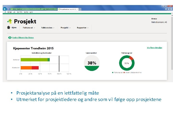  • Prosjektanalyse på en lettfattelig måte • Utmerket for prosjektledere og andre som