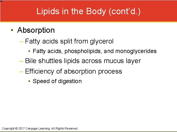 Lipids in the Body (cont’d. ) • Absorption – Fatty acids split from glycerol
