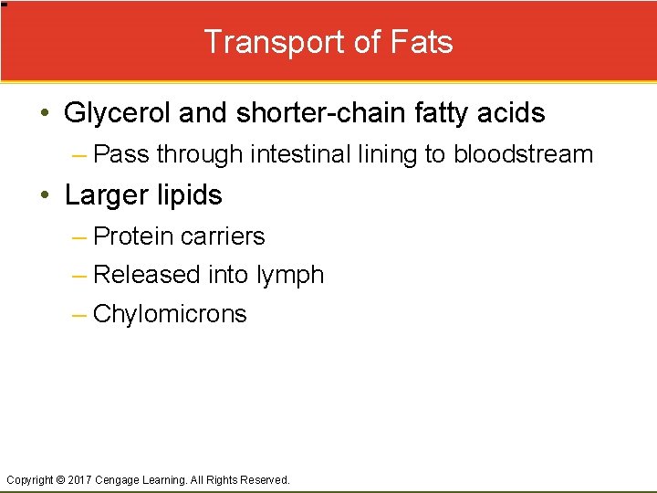 Transport of Fats • Glycerol and shorter-chain fatty acids – Pass through intestinal lining