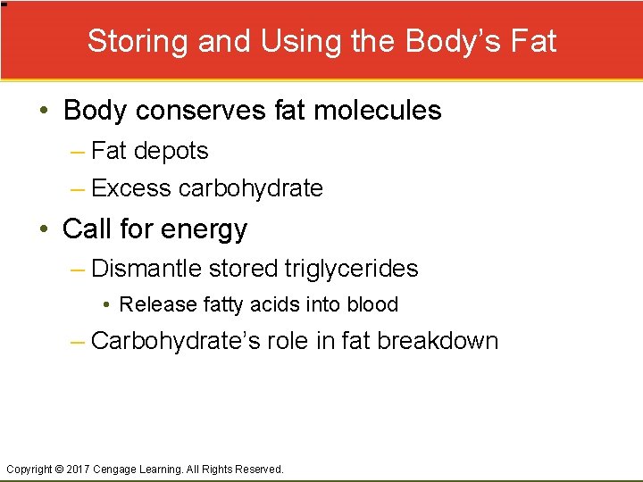 Storing and Using the Body’s Fat • Body conserves fat molecules – Fat depots
