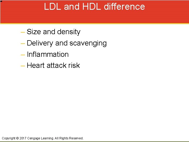 LDL and HDL difference – Size and density – Delivery and scavenging – Inflammation