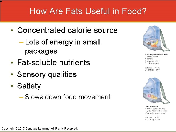 How Are Fats Useful in Food? • Concentrated calorie source – Lots of energy