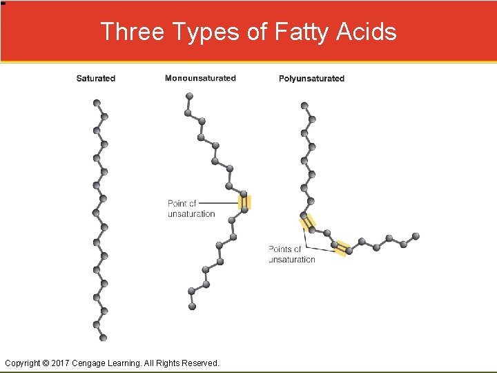 Three Types of Fatty Acids Copyright © 2017 Cengage Learning. All Rights Reserved. 