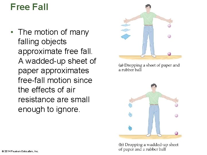 Free Fall • The motion of many falling objects approximate free fall. A wadded-up Free Fall • The motion of many falling objects approximate free fall. A wadded-up
