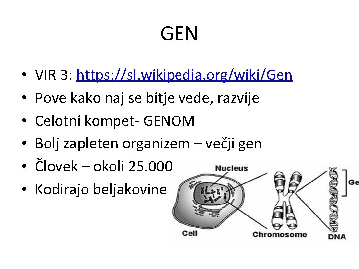 GEN • • • VIR 3: https: //sl. wikipedia. org/wiki/Gen Pove kako naj se