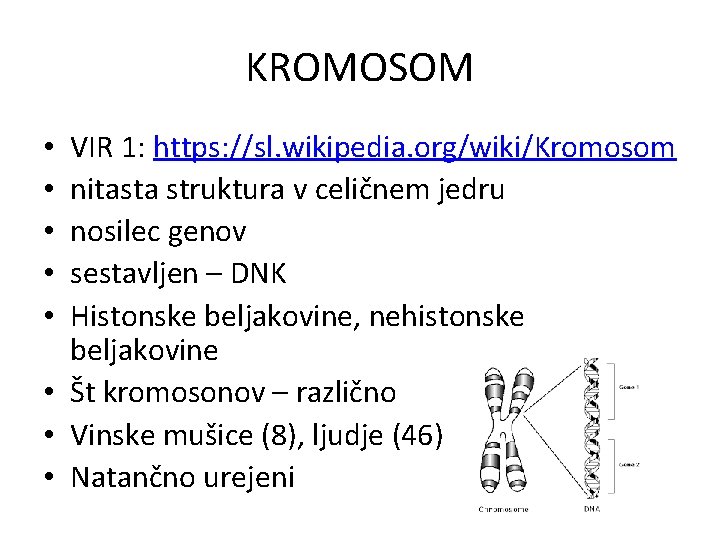 KROMOSOM VIR 1: https: //sl. wikipedia. org/wiki/Kromosom nitasta struktura v celičnem jedru nosilec genov