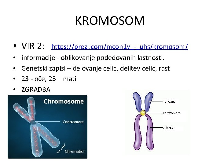 KROMOSOM • VIR 2: • • https: //prezi. com/mcon 1 v_-_uhs/kromosom/ informacije - oblikovanje