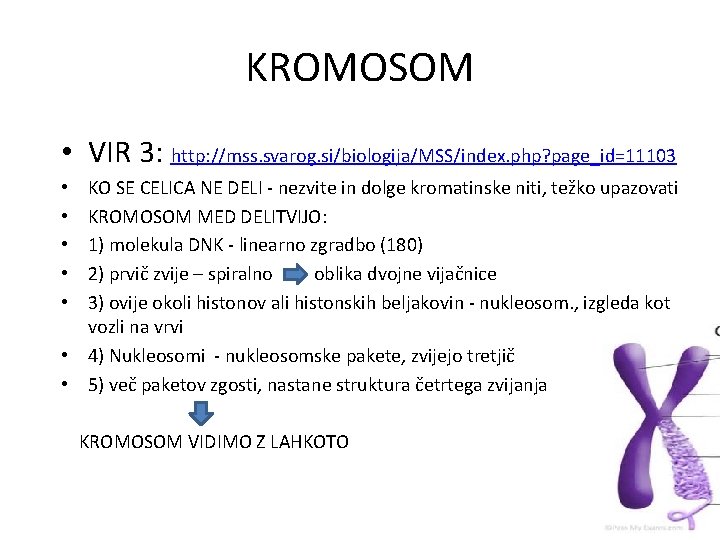 KROMOSOM • VIR 3: http: //mss. svarog. si/biologija/MSS/index. php? page_id=11103 KO SE CELICA NE