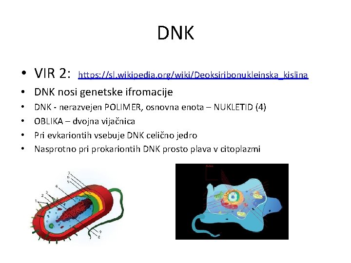 DNK • VIR 2: https: //sl. wikipedia. org/wiki/Deoksiribonukleinska_kislina • DNK nosi genetske ifromacije •