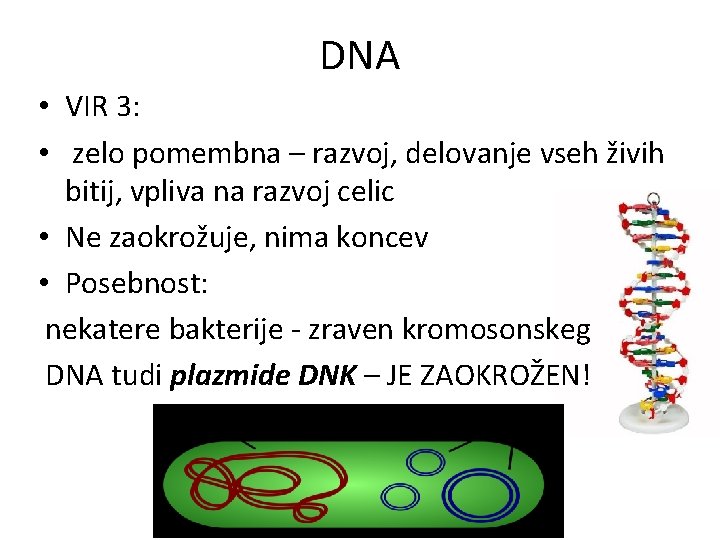 DNA • VIR 3: • zelo pomembna – razvoj, delovanje vseh živih bitij, vpliva