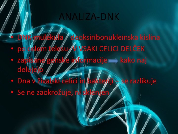 ANALIZA-DNK • DNK-mulekula deoksiribonukleinska kislina • po celem telesu- V VSAKI CELICI DELČEK •