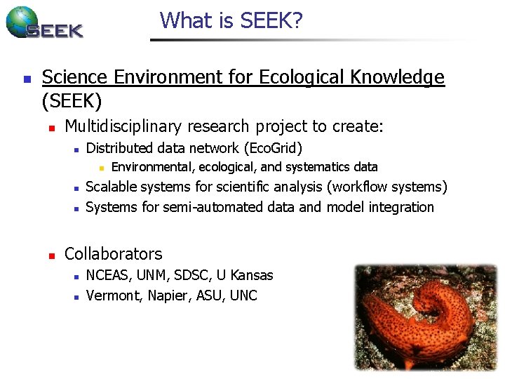 What is SEEK? n Science Environment for Ecological Knowledge (SEEK) n Multidisciplinary research project