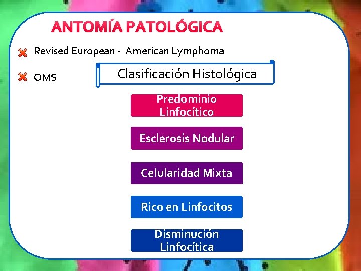 ANTOMÍA PATOLÓGICA Revised European - American Lymphoma OMS Clasificación Histológica Predominio Linfocítico Esclerosis Nodular