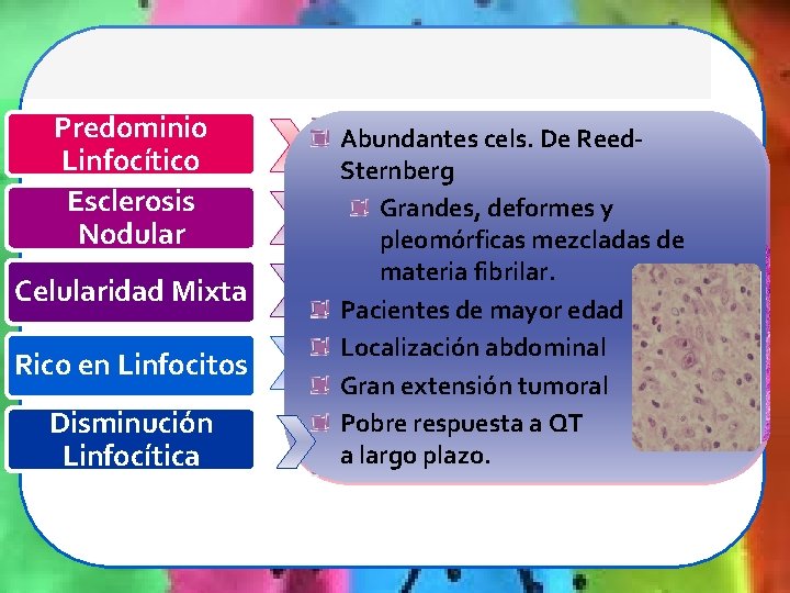 Predominio Linfocítico Esclerosis Nodular Celularidad Mixta Rico en Linfocitos Disminución Linfocítica Mezcla de células